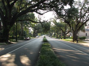 The neutral ground is rather large near the river, whereas it is narrow as you near Bayou St. John. 